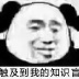 ct89228304