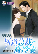 豪门婚令，霸道总裁高冷妻