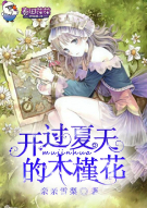 开过夏天的木槿花