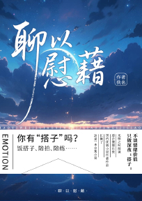 聊以慰藉