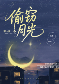 偷窃月光