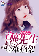 绯闻情人，首席先生难招架