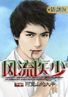 风流医少